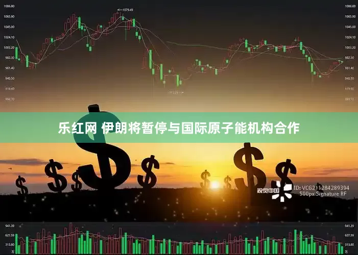 乐红网 伊朗将暂停与国际原子能机构合作